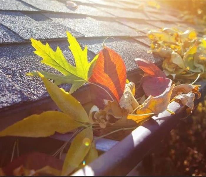 leaves in gutters